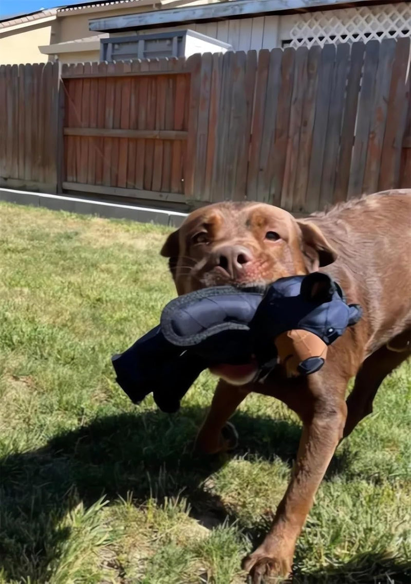 Indestructible Squeaky Dog Chew Toy