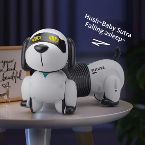 Programmable Smart RC Robot Dog