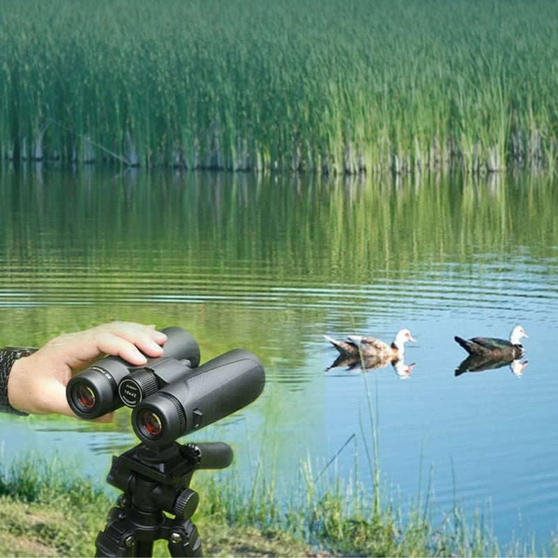 Professionelles Teleskop-Fernglas mit Prismenphasenkorrektur zur Vogelbeobachtung