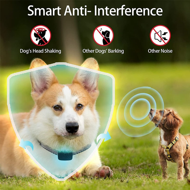 Electric Waterproof Training Dog Collar Rechargeable