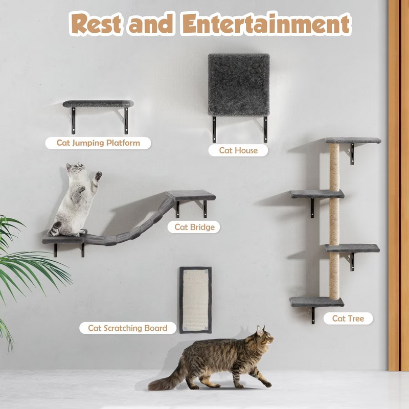 Scratching Cat Climber Set Tree - 5Pcs